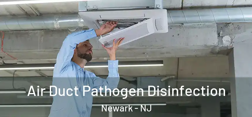  Air Duct Pathogen Disinfection Newark - NJ
