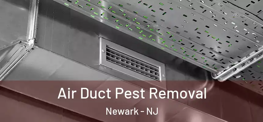 Air Duct Pest Removal Newark - NJ