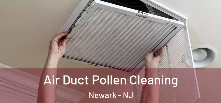Air Duct Pollen Cleaning Newark - NJ
