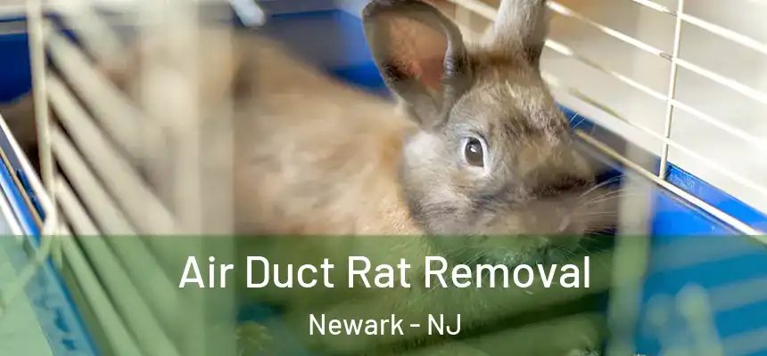 Air Duct Rat Removal Newark - NJ