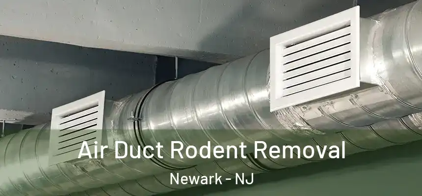 Air Duct Rodent Removal Newark - NJ