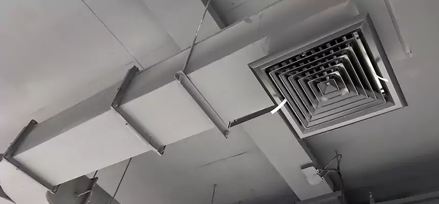 Restorative Allergy Relief Vent Cleaning – Coil, Blower & Housing Detail in Newark