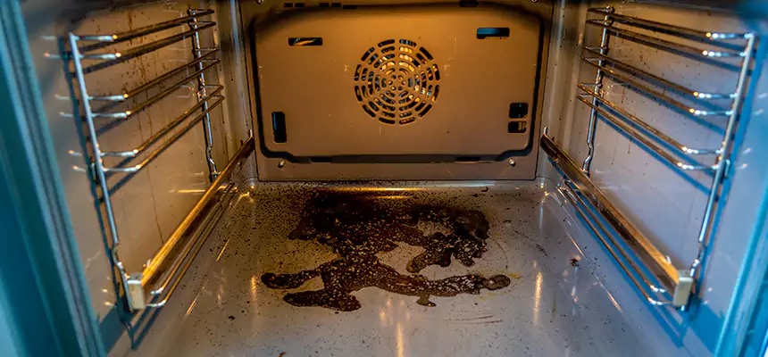 Our Dryer Vent Mold Cleaning Services in Newark, NJ