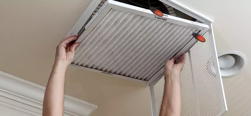 Our Insect Removal from Air Ducts Services in Newark, NJ