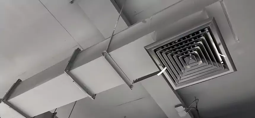 Our Rodent Droppings In Vents Services in Newark, NJ