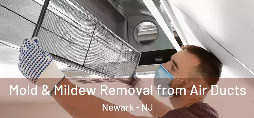 Mold & Mildew Removal from Air Ducts Newark - NJ