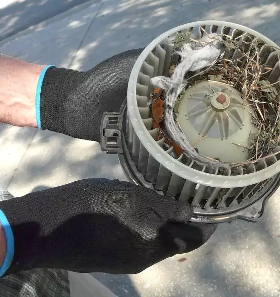 About Air Duct Rat Removal in Newark, NJ