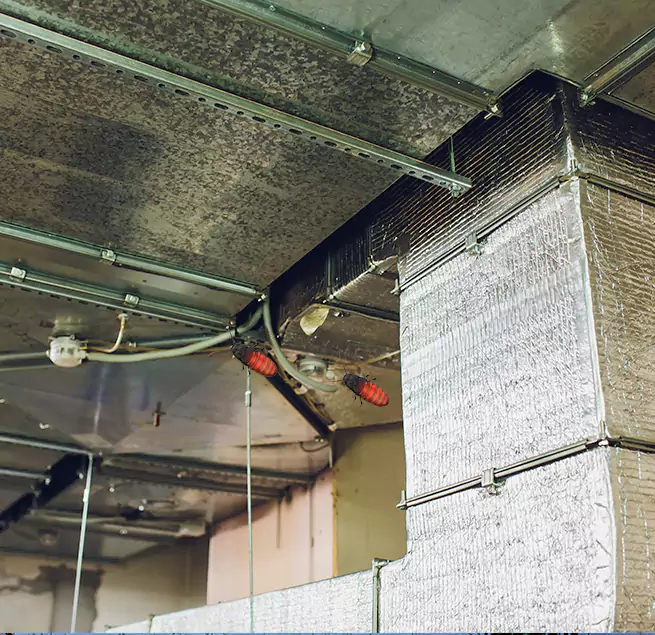 Why Homeowners & Businesses Trust Us in Newark, NJ?