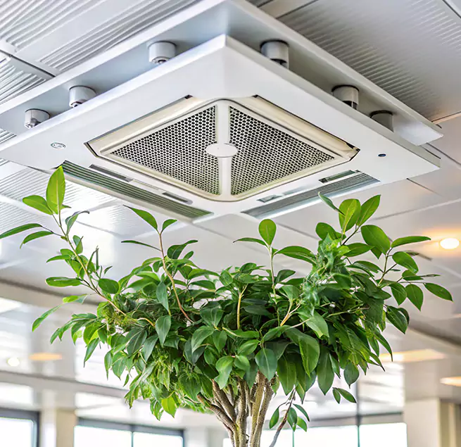 Why Homeowners & Businesses Trust Us in Newark, NJ